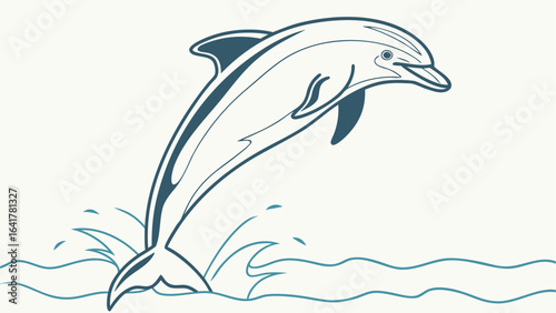 dolphin jumping out of water