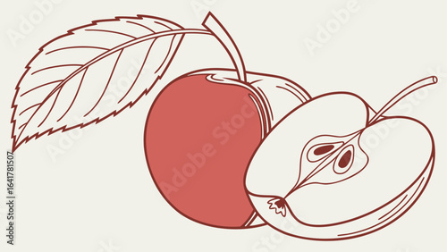 vector illustration of an apple