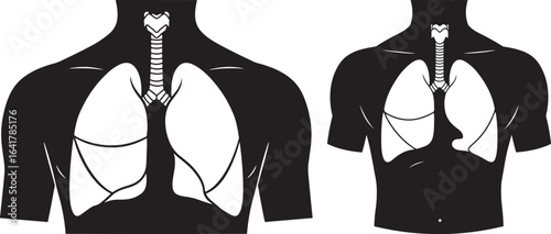 Human respiratory system silhouette diagram