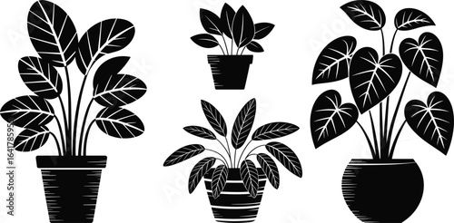 PrintBlack potted plant silhouette, indoor houseplants vector, botanical leaf design, home decor foliage, minimalist art, tropical plant illustration