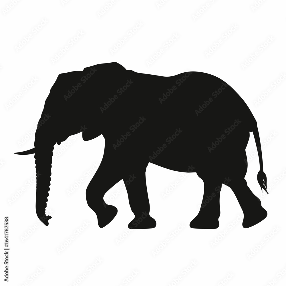 Fototapeta premium A detailed black silhouette of an elephant walking on a white background, trunk curled down, tail curved up