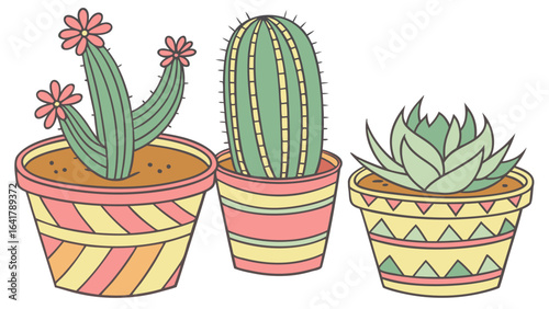 cactus in a pot