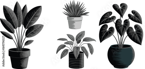 PrintRealistic potted plant illustration, indoor houseplants design, decorative greenery, botanical art, tropical leaves, home decor foliage, black vector element
