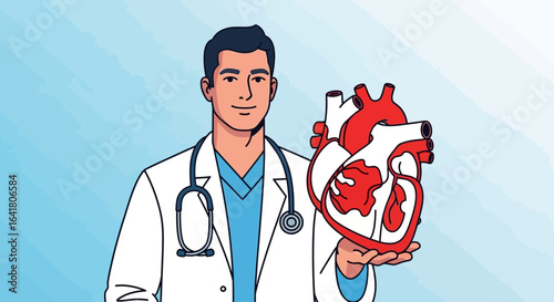 Doctor holding human heart model illustration for medical or health related content