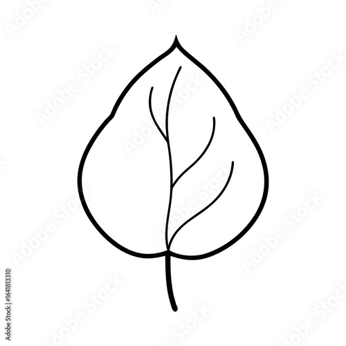 Cottonwood Leaf Minimal Botanical Line Drawing with Graceful Organic Detail Vector illustration