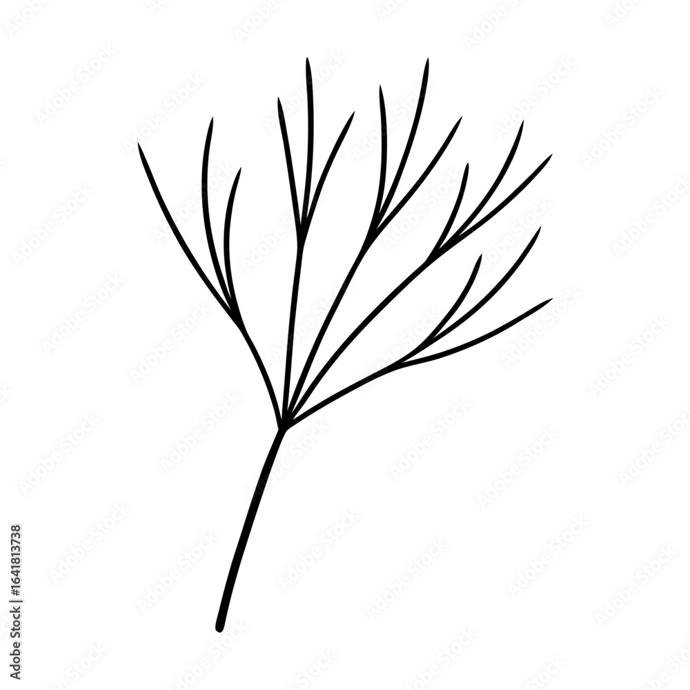 Obraz premium Dill Leaf Minimal Botanical Line Drawing with Graceful Natural Detailing Vector illustration