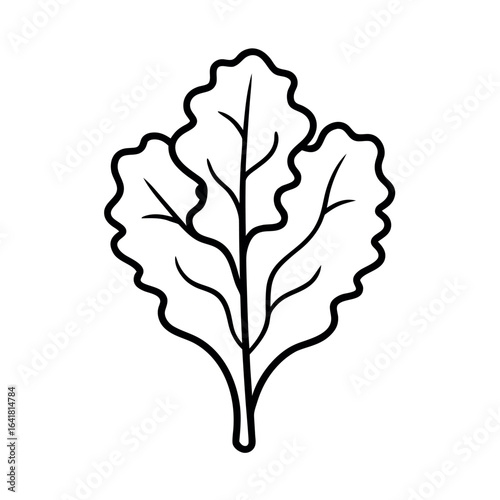 Kale Leaf Elegant Botanical Line Drawing Depicting Graceful Organic Beauty Vector illustration