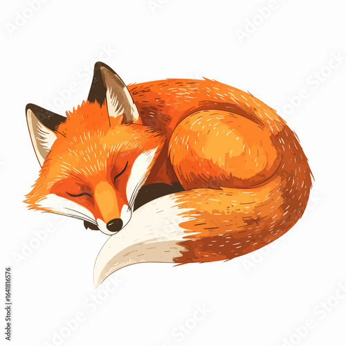 Illustration of a curled-up fox, depicted with detailed fur and closed eyes on a white background. Soft oranges and white dominate the image