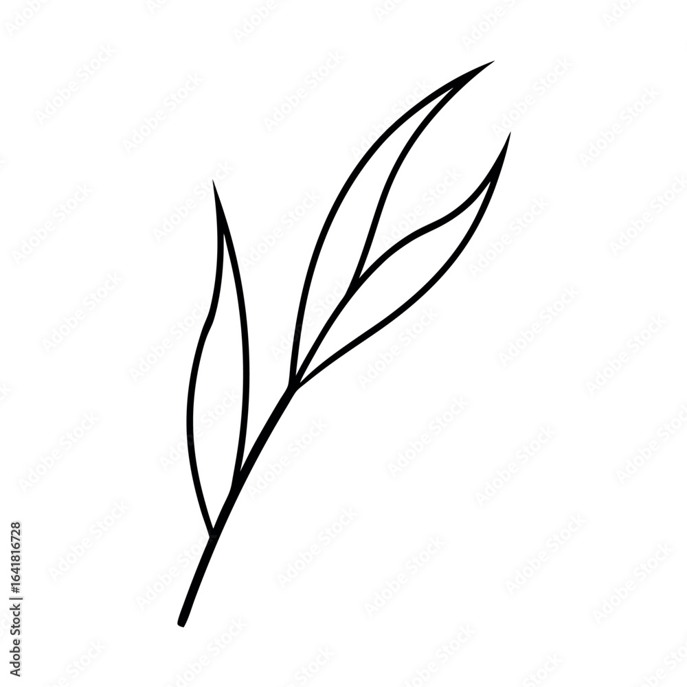 Rice Leaf Minimal Botanical Line Art Depiction with Elegant Graceful Detailing Vector illustration Rice Leaf Minimal Botanical Line Art Depiction with Elegant Graceful Detailing Vector illustration