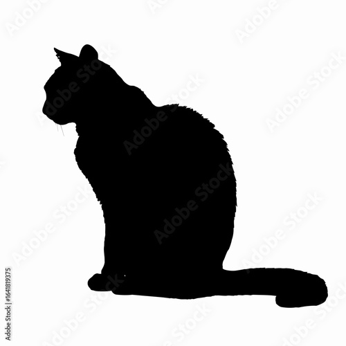 Silhouette of a seated cat
