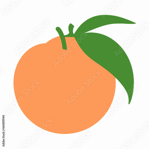 Simple orange fruit illustration