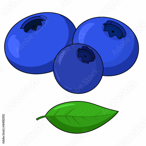 Three blue blueberries with a green leaf