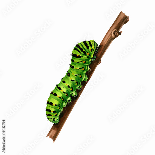 Vibrant green caterpillar on a branch
