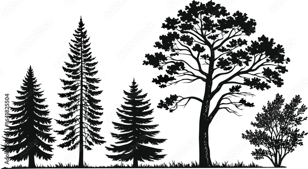 Fototapeta premium Pine tree silhouettes. Evergreen forest firs and spruces black shapes, wild nature trees templates. Vector illustration woodland trees set on white background. black silhouette vector illustration