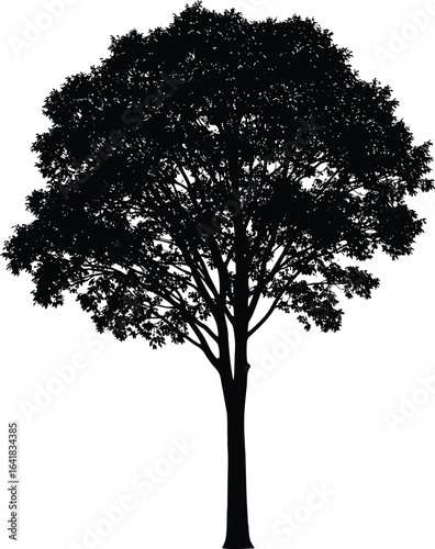 Single tree silhouette SVG, tall leafy tree clipart, black tree vector for Cricut, laser cutting, vinyl, print