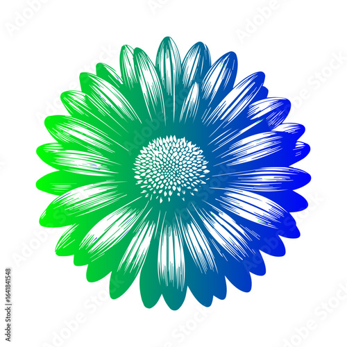 Vibrant Gradient Gerbera Daisy Flower Illustration