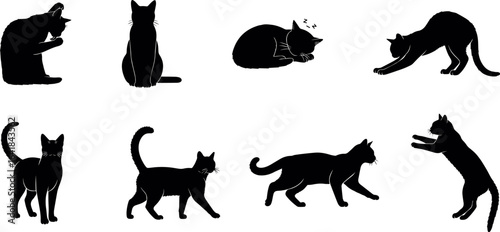 set of cat silhouettes in sitting, sleeping, walking, and stretching poses, depicting feline behavior vector