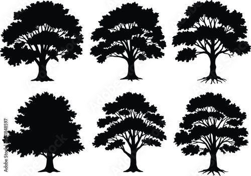 ree silhouettes, black tree, forest vector, botanical design, woodland illustration, nature art, leafless trees, oak silhouette, nature shapes, outdoor forest art, tree icon, seasonal trees