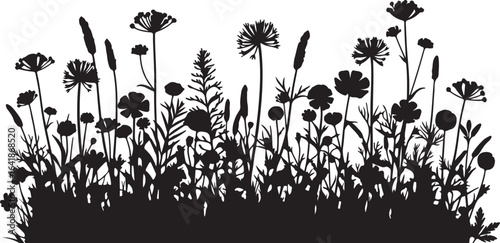 Black Silhouette of Wild Grasses and Flowers Against White Background meadow field