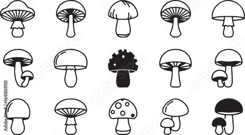 Collection of 15 outline and silhouette mushroom illustrations on white background