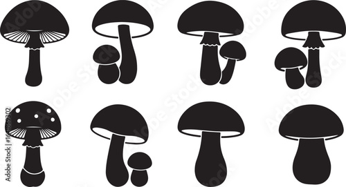 Collection of eight black silhouette mushroom illustrations on white background fungi