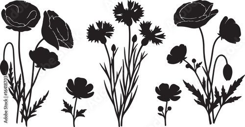 Black silhouette floral elements of poppies and cornflowers on white background poppy