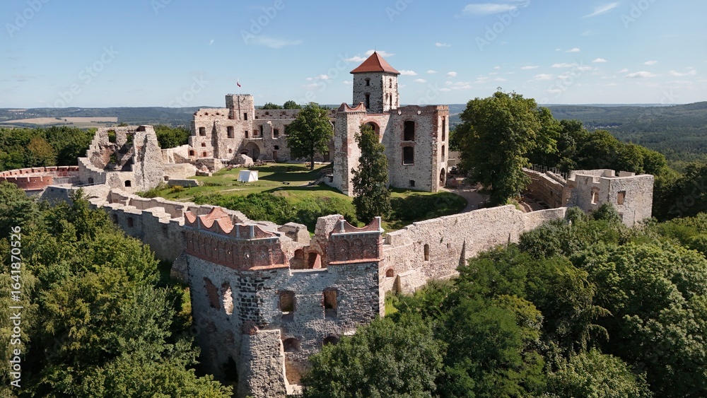 Naklejka premium Zamek Tenczyn – leżący na Jurze Krakowsko-Częstochowskiej, włączonego w XIV wieku do kazimierzowskiego systemu Orlich Gniazd, we wsi Rudno, Małopolska, Polska, Europa,