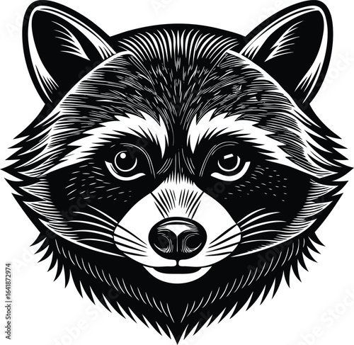 Detailed black and white illustration of a raccoon face