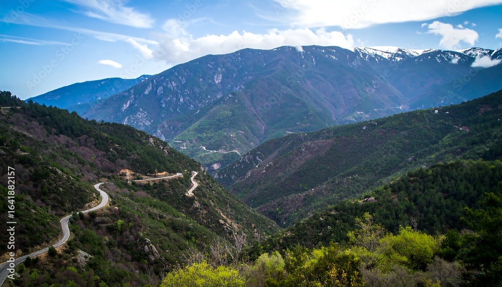 Fototapeta premium Mountain valley road winds through lush greenery
