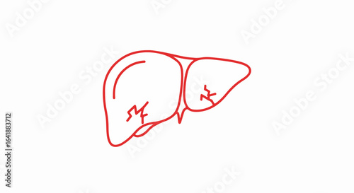 Red Outline Illustration of a Damaged Liver