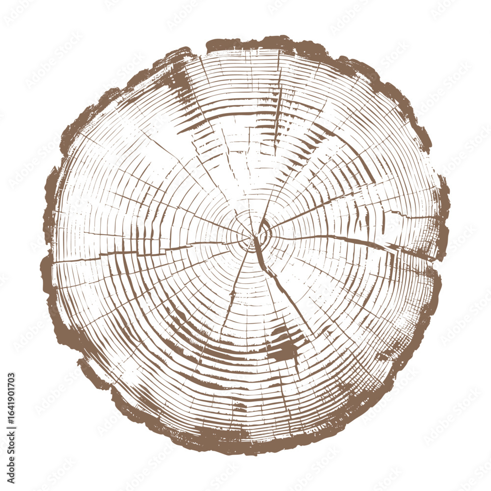 Vector illustration of tree trunk cross section with annual rings and natural cracks, detailed wood texture for forestry, ecology, growth, nature and environmental design concepts