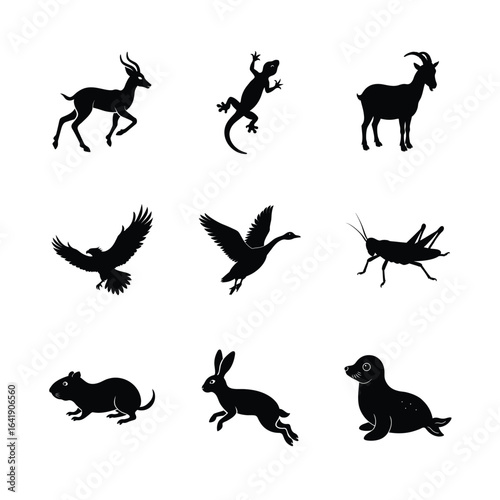 Wild Animal Silhouette Icon Collection Set