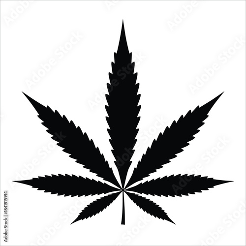 Understanding the Cannabis Plant and Its Many Uses