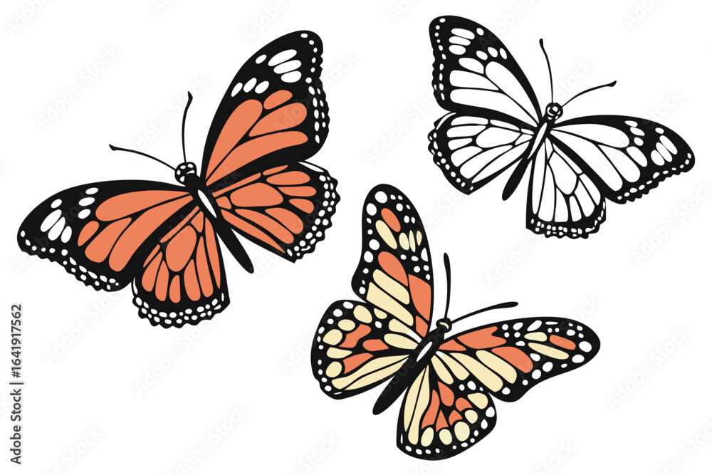 Fototapeta premium Collection of colorful vector butterflies isolated on white background