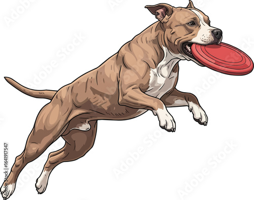 American Pit Bull Terrier dog catching frisbee jumping illustration