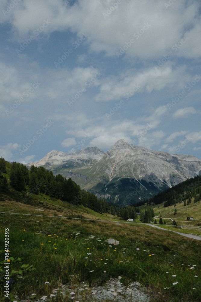 Naklejka premium alps to lake