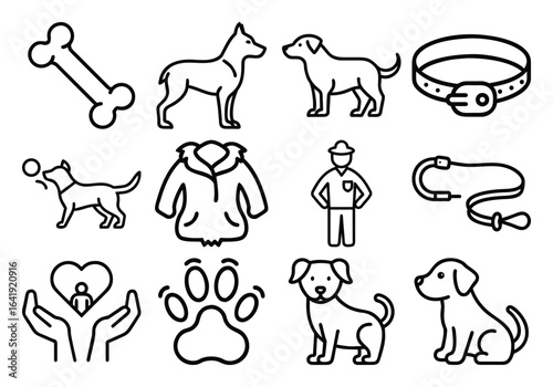 Common dog words list popular pet terms canine vocabulary guide