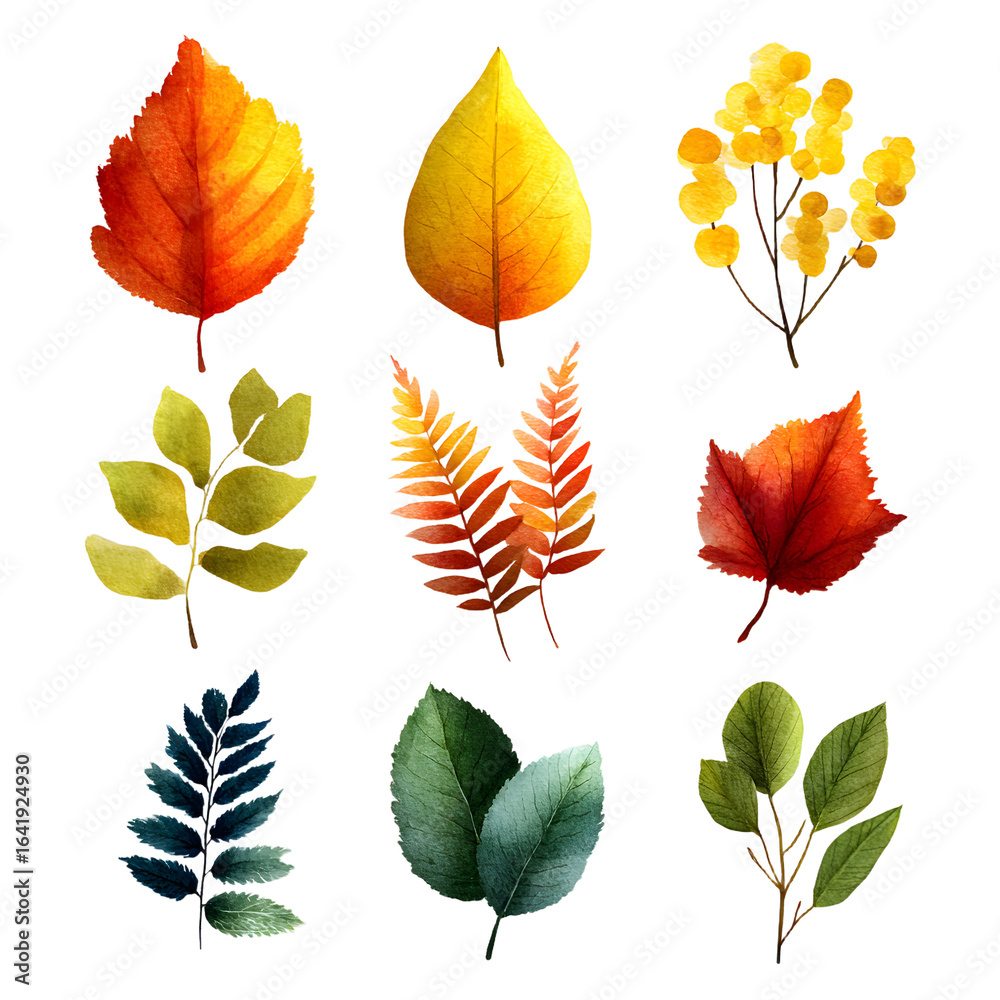 Obraz premium Beautiful autumn leaves watercolor set, great design for any purposes. botanical background.