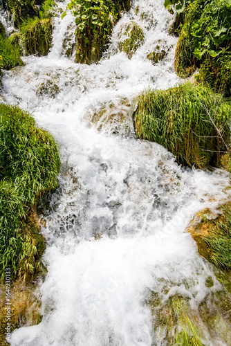 waterfall in the forest