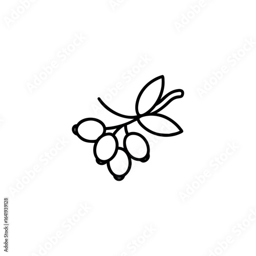 A sea-buckthorn fruits icon line art vector illustration.
