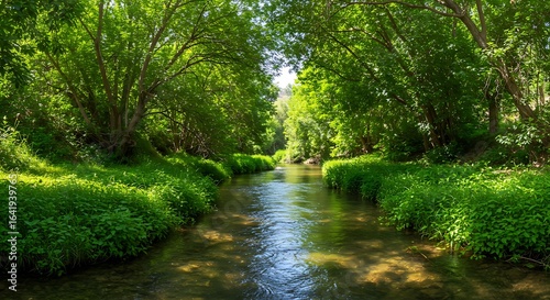 The Dan River flowing through lush greenery in the Galilee region of northern Israel. - scenic perspective