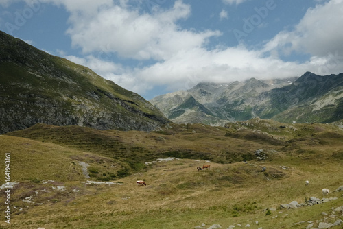 alps to lake