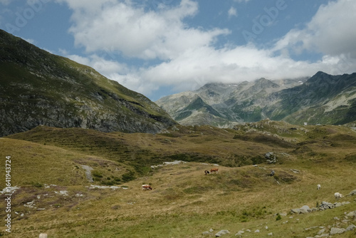 alps to lake