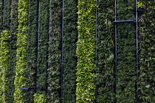 Close-up of vertical garden with lush green plants