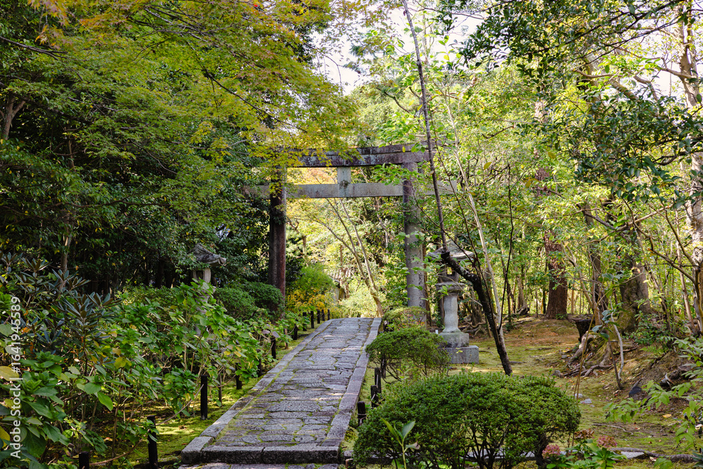 Obraz premium A serene Japanese garden with a Walkway leading to a stone Torii Gate