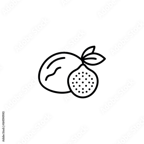 A honeydew fruits icon line art vector illustration.