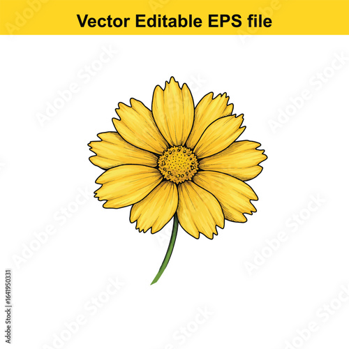 A cluster of purple aster flowers isolated on a white background