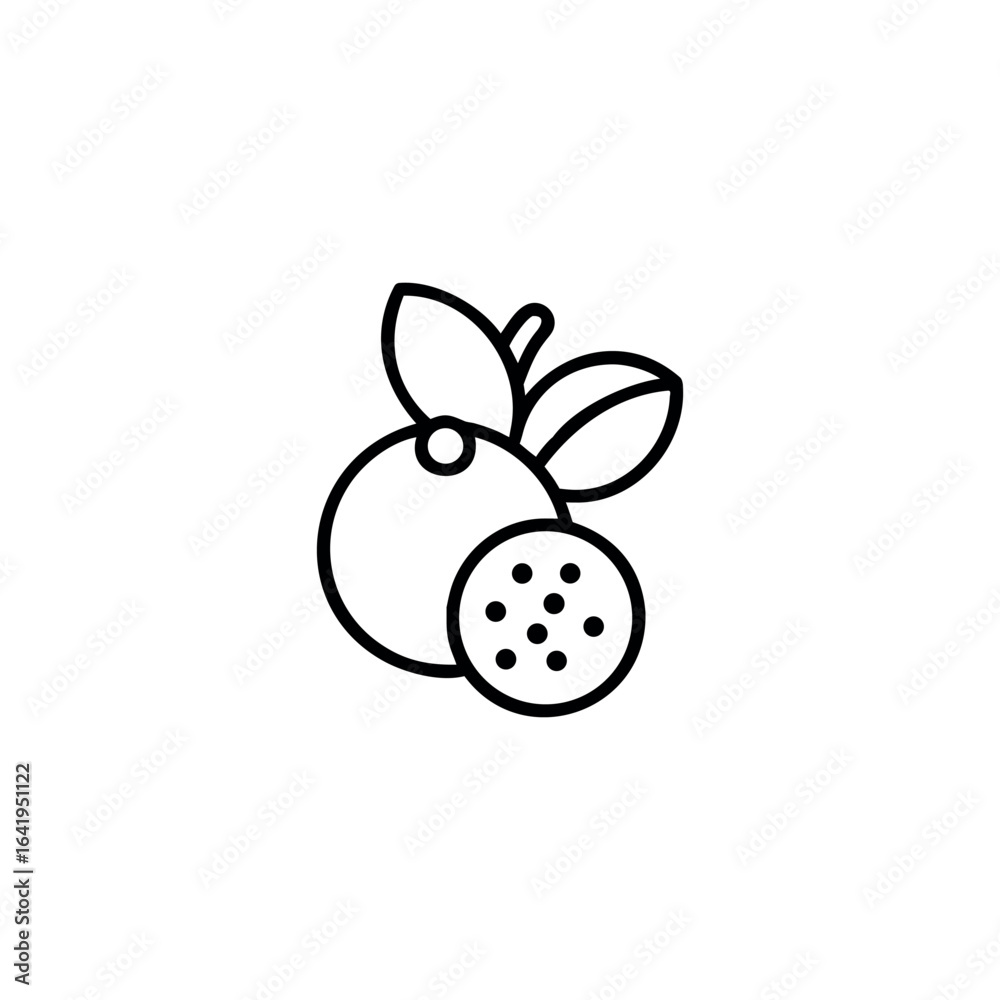 A jabuticaba fruits icon line art vector illustration. A jabuticaba fruits icon line art vector illustration.