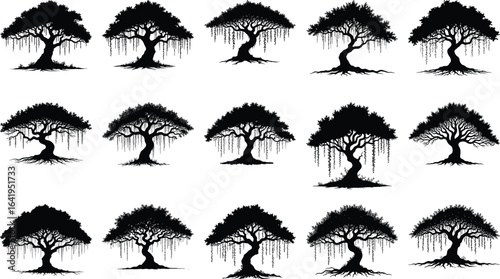 Silhouette Tree  drawn, Botanical, Plant, foliage, Woodland, tree  – Diverse Black Tree Vector Set 