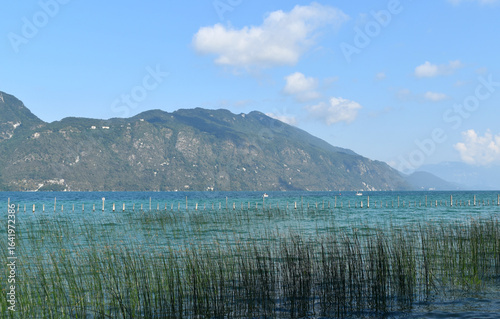 Lac du Bourget